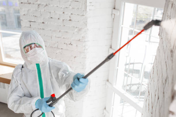 Best Mold Prevention Services  in Walnut, CA