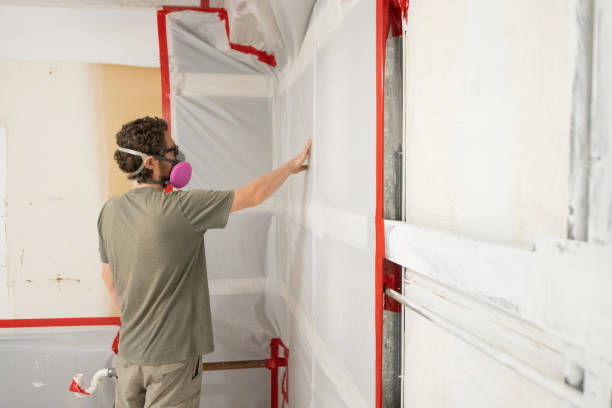Best Mold Odor Removal Services  in Walnut, CA