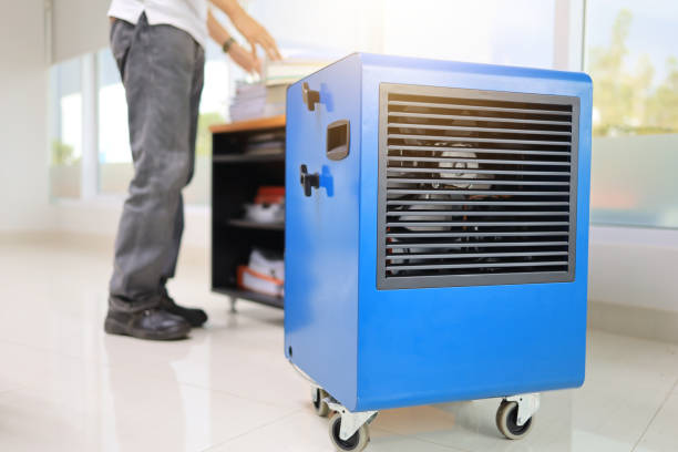 Best Emergency Mold Remediation  in Walnut, CA