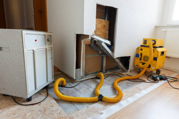 Best Dehumidification Services  in Walnut, CA
